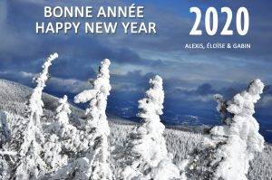 2020-bonne annee